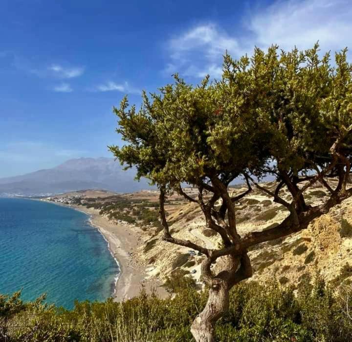Ilios Kalamaki Exteriér fotografie